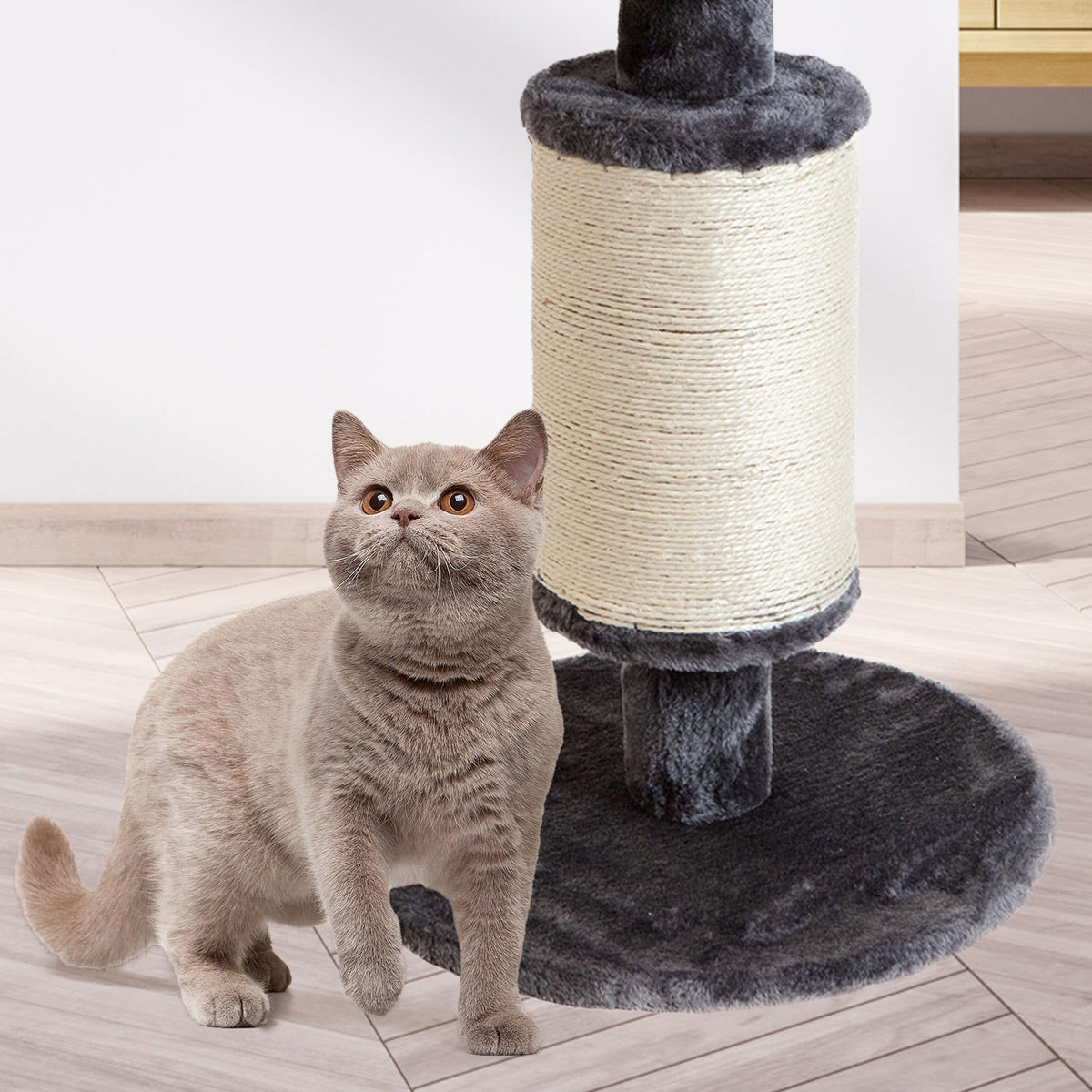 AQPET FRIENDS Rascador de sisal y tela con plataforma, de 58 cm de alto para la máxima diversión de tu gato, color gris