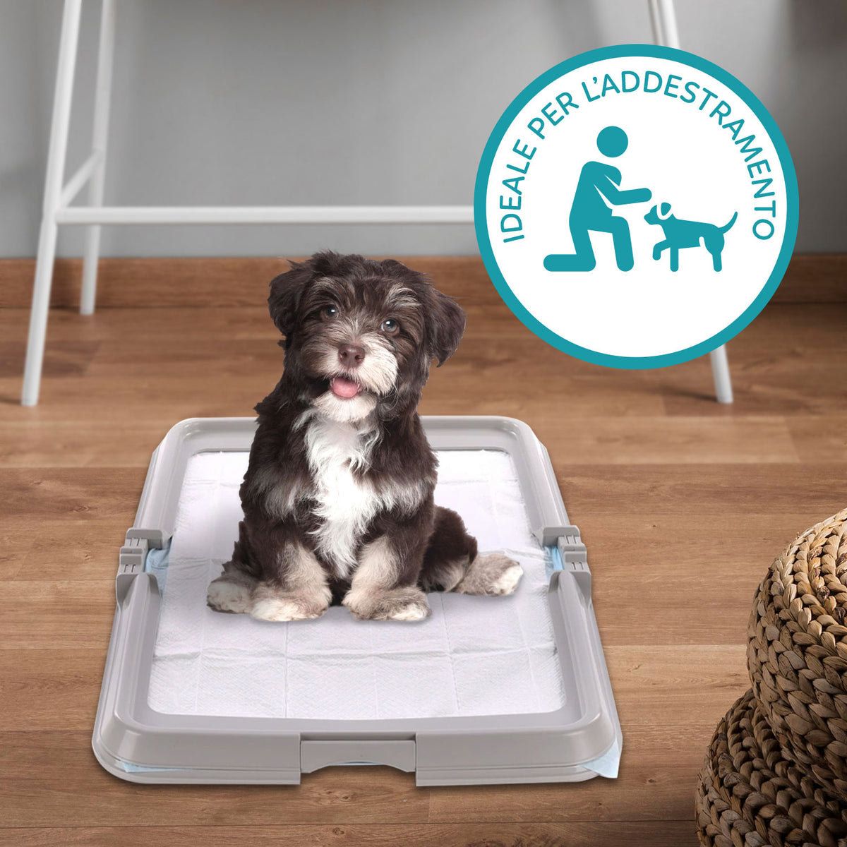 AQPET FRIENDS Bandeja sanitaria para perros, inodoro plegable 86x62 cm, bandeja para colocar empapadores absorbentes, ideal para adiestrar cachorros y para usar en casa