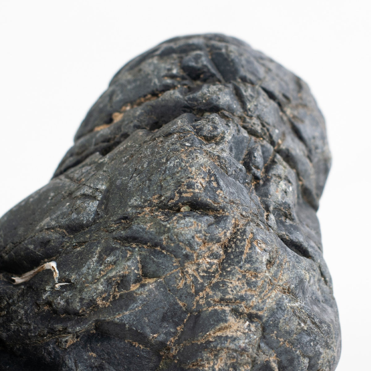 AQPET ZEN STONE ROCAS PIEDRA GOTLAND (CONF. 10KG MIXTO)