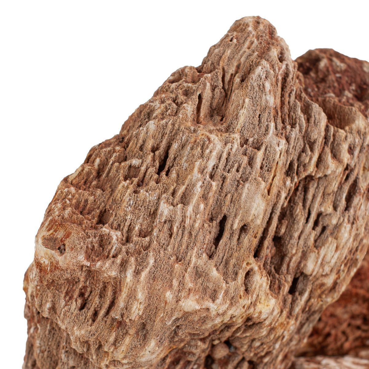 AQPET ZEN STONE ROCAS MADERA FÓSIL ROJA (CONF. 20KG MIXTO)
