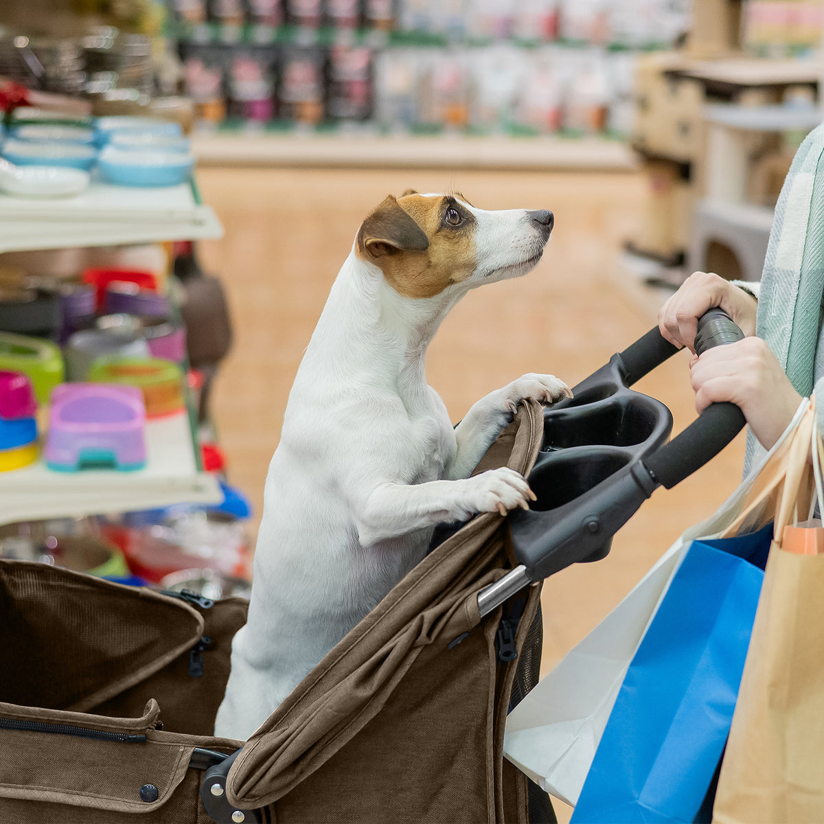 AQPET FRIENDS Cochecito cómodo y práctico para perros de tamaño mediano/pequeño Para perros y gatos Viaje seguro