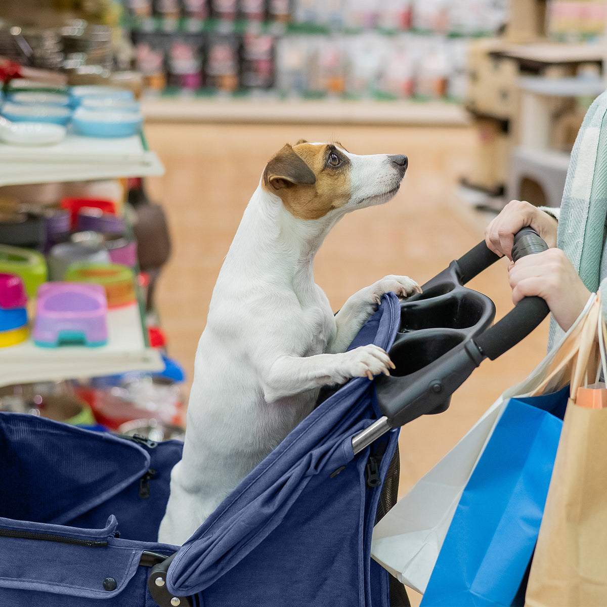 AQPET FRIENDS Cochecito cómodo y práctico para perros de tamaño mediano/pequeño Para perros y gatos Viaje seguro