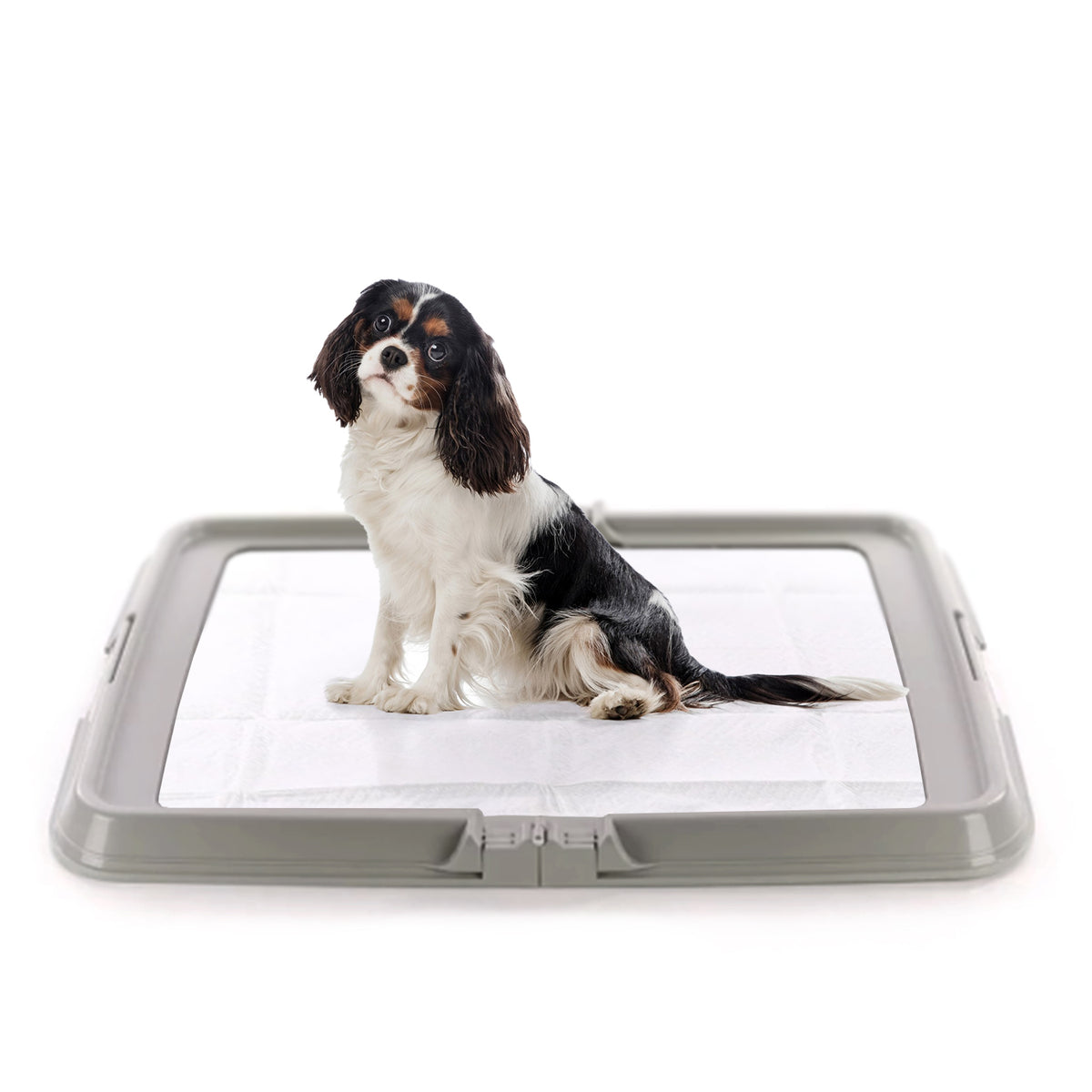 AQPET FRIENDS Bandeja sanitaria para perros, inodoro plegable 86x62 cm, bandeja para colocar empapadores absorbentes, ideal para adiestrar cachorros y para usar en casa
