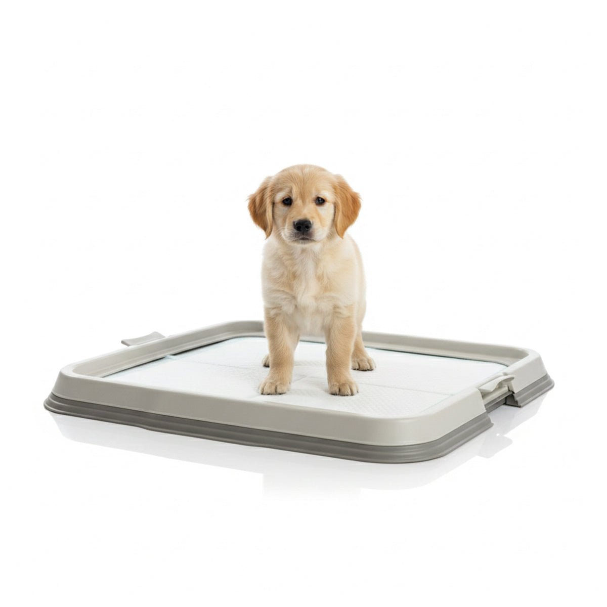 AQPET FRIENDS Bandeja sanitaria para perros con soporte para alfombrillas absorbentes de 60x60 cm, base antideslizante para empapadores higiénicos, ideal para el adiestramiento de cachorros y el uso doméstico