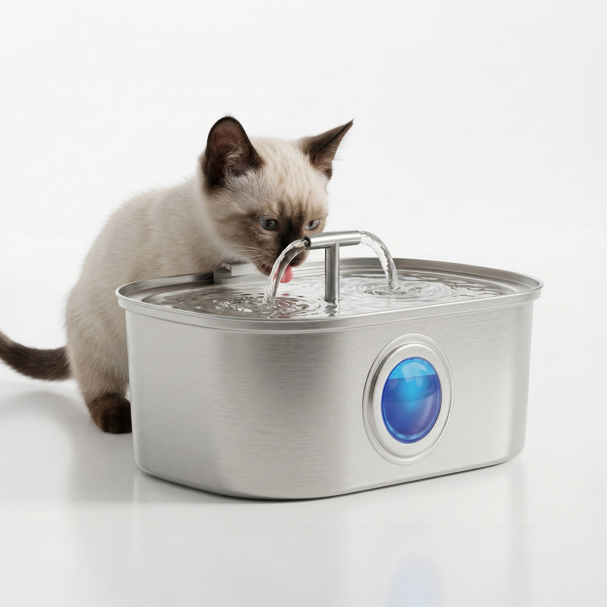 AQPET FRIENDS Fuente para gatos de acero inoxidable de 3.2L – Dispensador automático de agua ultrasilencioso con filtro multicapa – Fuente para gatos y perros, agua siempre limpia