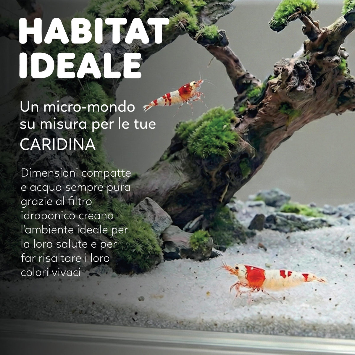 AQPET HYDO ACUARIO DE ESCRITORIO CON DOCK STATION