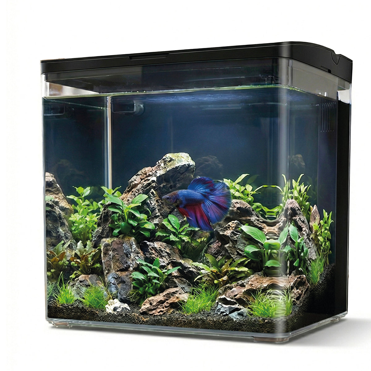 AQPET NEYA ACUARIO DE ESCRITORIO NEGRO