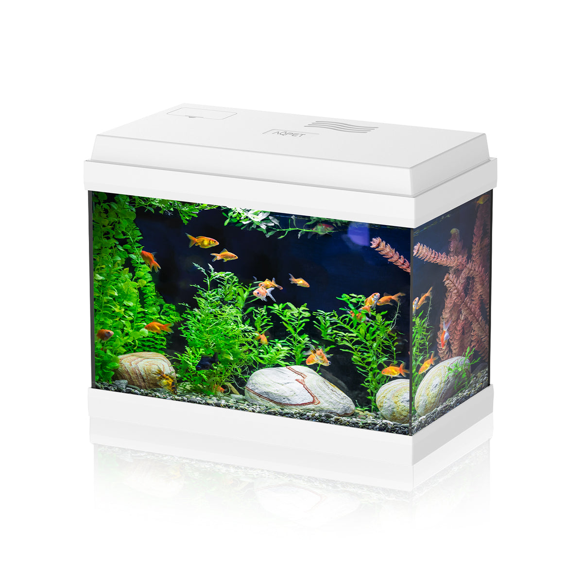 AQPET ACUARIO SIMPLY LED 30 BLANCO, COMPLETO CON LUZ Y FILTRO - 39X22X30 H CM