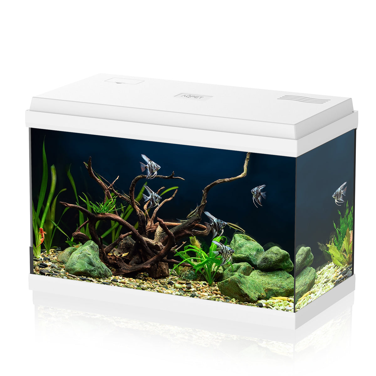AQPET ACUARIO SIMPLY LED 60 BLANCO, COMPLETO CON LUZ, FILTRO Y CALENTADOR - 59X30X39 H CM