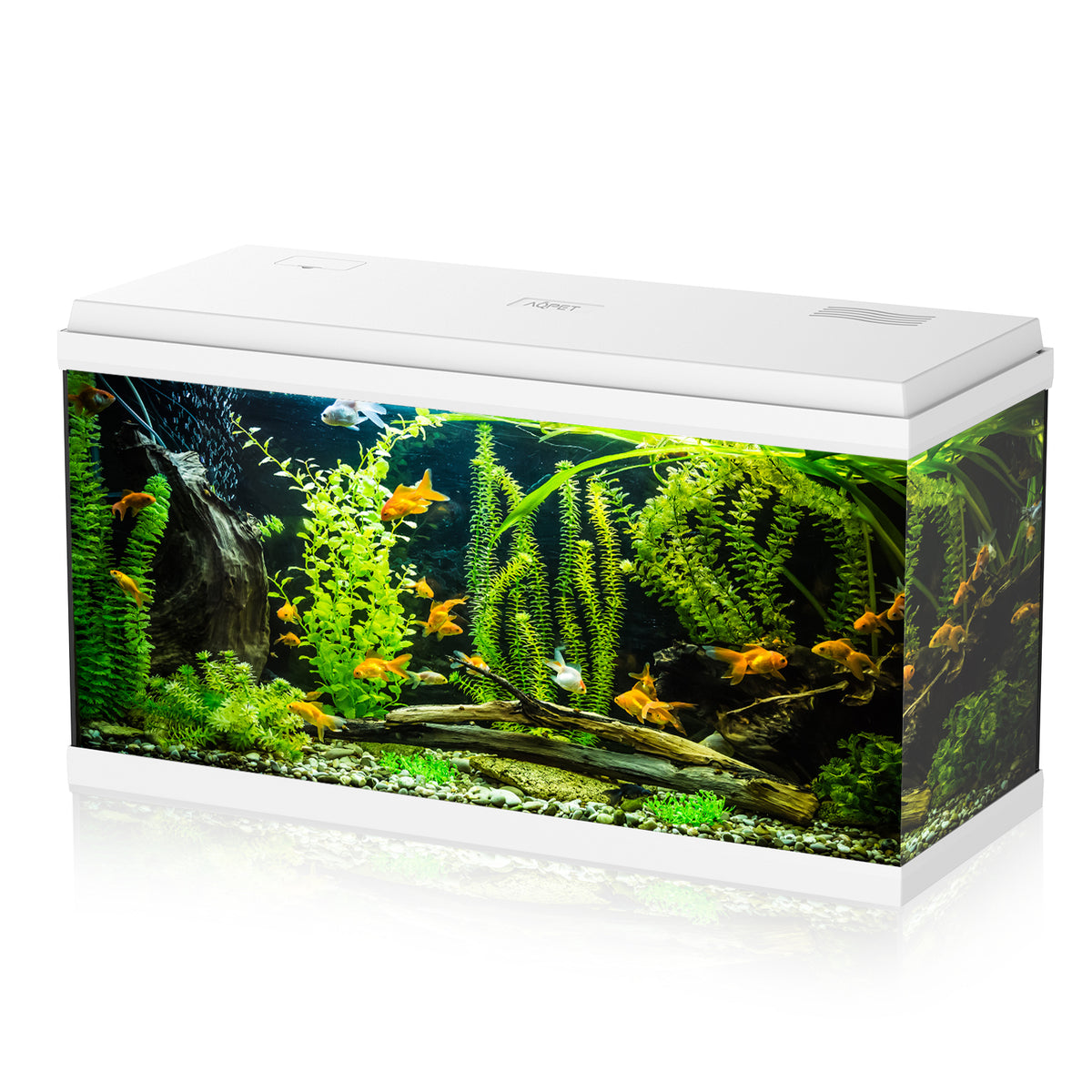 AQPET ACUARIO SIMPLY LED 100 BLANCO, COMPLETO CON DOBLE LUZ, FILTRO Y CALENTADOR - 80X32X45 H CM