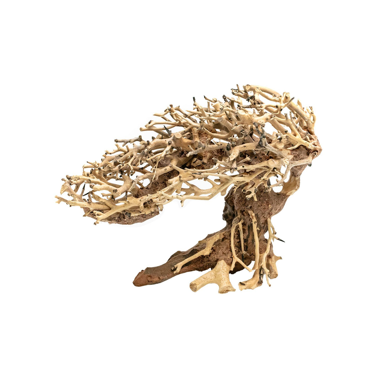 AQPET ZEN BONSAI ROMÁNTICO